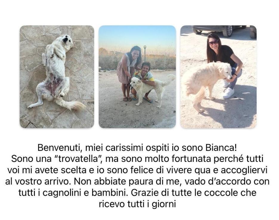 Cozzo Spadaro B&B Portopalo Di Capo Passero Zewnętrze zdjęcie